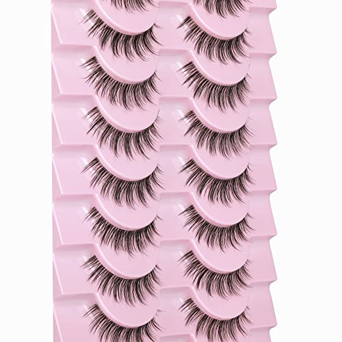 Ruairie Natural Lashes with Clear Band Fluffy Wispy False Lashes Natural Look 10 Pairs Fake Eyelashes Pack