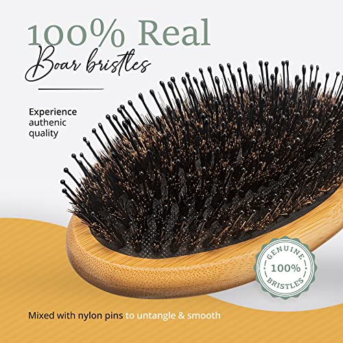 Premium Boar Bristle Hair Brush for Thick Hair Set. Hairbrush for Women With Thick, Long or Curly Hair. Restores Hair's Shine and Health. Comb, T