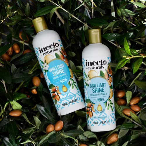 Inecto Natural Argan Shine Conditioner 500ml, Rich & Nourishing Pure Argan Oil for Beautiful Healthy Shine, for Dull Damaged Hair