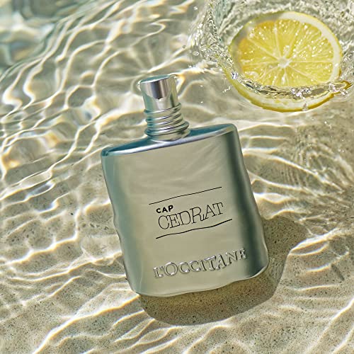 L'OCCITANE L'Occitane Shower Gel 250 ml| Luxury Body Wash for Men| 2-in-1 Hair & Body| Aromatic Lavender Scent|