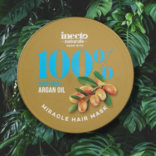 Inecto Argan Dream Creme Shine & Define Hair Serum 100ml, Nourishing Fatty Acids, Repairs & Revitalises Hair, Preserves Moisture Making Hair Silk