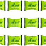 Tea Tree Daily Use Cleansing Facial Face Make Up Wipes (12 x 25 Packs)