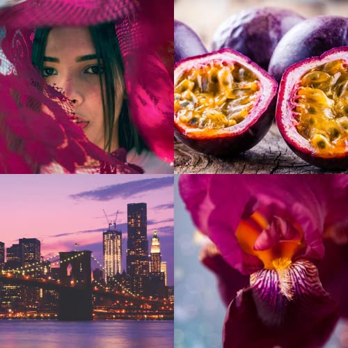 MILTON-LLOYD ESSENTIALS No 18 Perfume for Women. 50ml Eau de Parfum. Luxury Fragrance - Ladies Perfume, Long Lasting Womens Perfumes by Milton-Ll