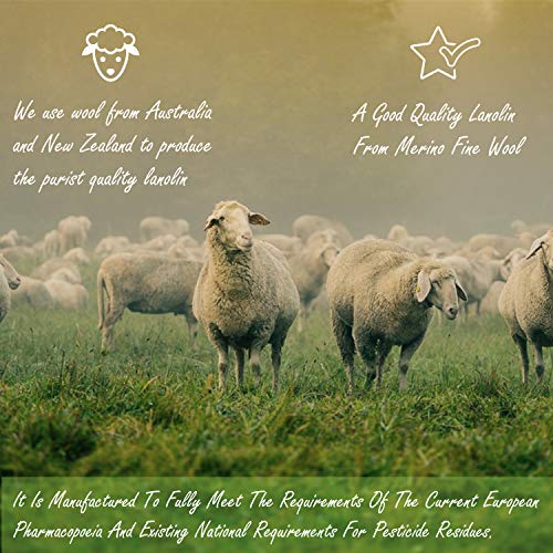 Lanolin. Adeps Lanae. 60ml Jar, use directly on the hands and feet especially for rough dry and cracked skin by Sea & Sea