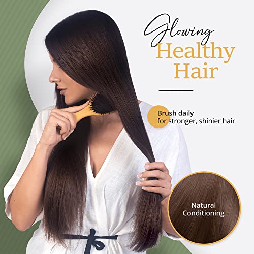 Premium Boar Bristle Hair Brush for Thick Hair Set. Hairbrush for Women With Thick, Long or Curly Hair. Restores Hair's Shine and Health. Comb, T