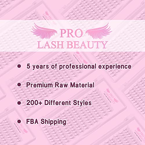 Pre Made Fan Eyelash Extensions 10D 12D 7D 5D Pointy Base Premade Fans Eyelash Extension 0.05 0.07 0.10 Lash Extensions Pre Fanned Russian Volume