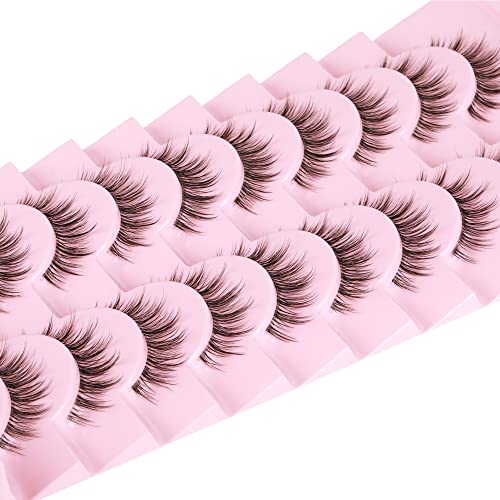 Ruairie Natural Lashes with Clear Band Fluffy Wispy False Lashes Natural Look 10 Pairs Fake Eyelashes Pack
