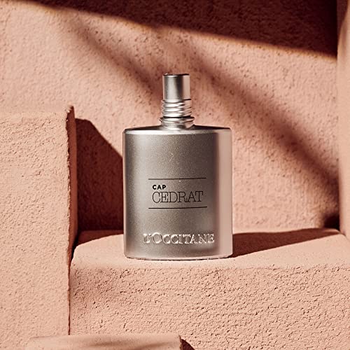 L'OCCITANE L'Occitane Shower Gel 250 ml| Luxury Body Wash for Men| 2-in-1 Hair & Body| Aromatic Lavender Scent|