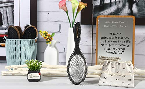 BESTOOL Hair Brush, Paddle Detangler Brush with Metal Bristles for Women/Men/Kids Detangling & Massaging, Anti Static, Best for All Hair Types We