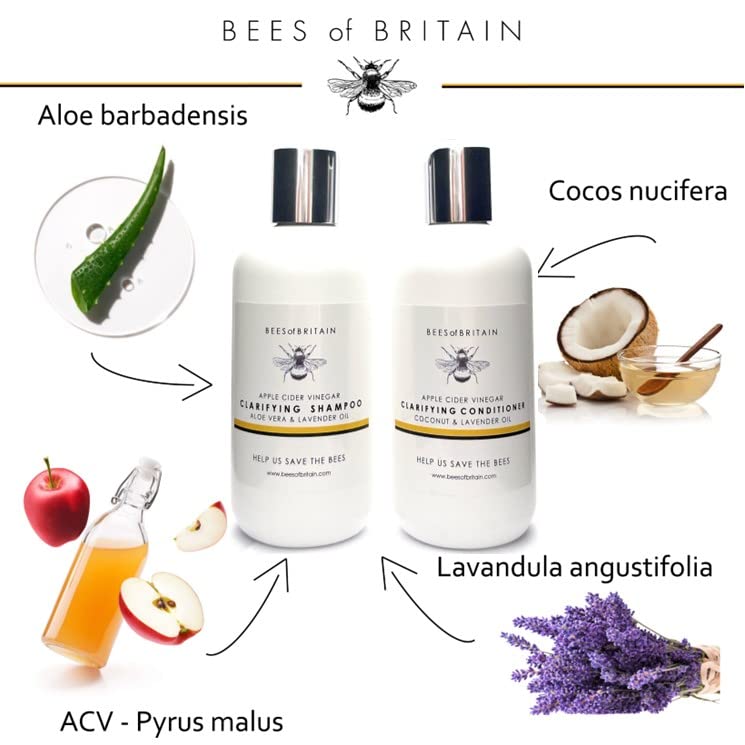 BEES of BRITAIN - 99% Natural Clarifying Shampoo, 250ml - Apple Cider Vinegar, Aloe & Lavender. Sulfate, Paraben & Silicone-Free. 5% Profit to Be