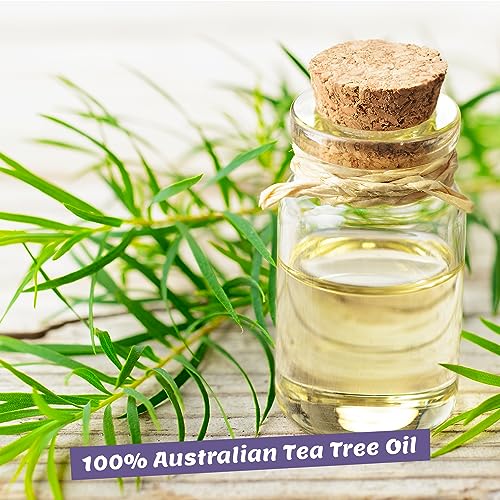 ORGANIC Tea Tree Oil 50ml with pipette, vegan – 100% pure tea tree essential oil from Australia – Treatment for blemished skin, inflammatory skin