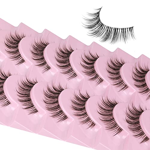 Ruairie Natural Lashes with Clear Band Fluffy Wispy False Lashes Natural Look 10 Pairs Fake Eyelashes Pack