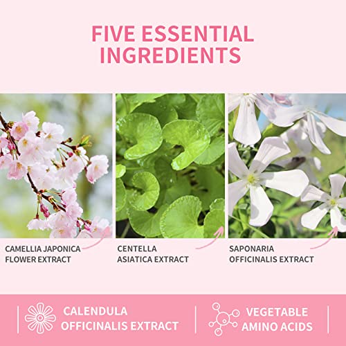 Eyelash Extension Cleanser, Eyelash Extension Shampoo 60ml+2 Cleansing Brushes+Mascara Wand Eyelash Foam Cleanser For Extensions and Natural Lash