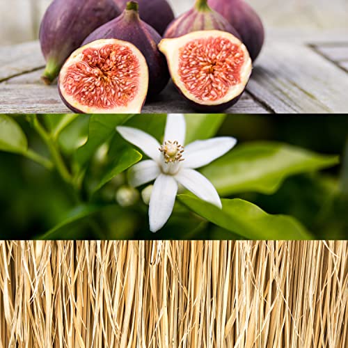 Calvin Klein CK ONE GOLD Unisex Eau de Toilette, 100 ml