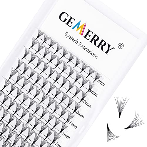 Pre Made Fan Eyelashes Extensions 10D Fans 0.07mm D Curl 8-14mm Mix Cluster Eyelash Extensions Premade Fans Volume Russian Lashes Fan Individual