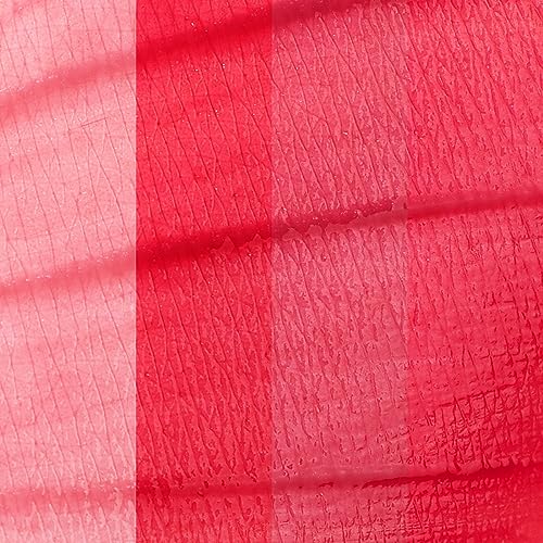 bayfree Lip Tint Stain Set, Long Lasting Lip Gloss, Non-sticky & Transfer-Proof Lip Stain Tinted Lip Balm, Waterproof Lipstciks, Lip Shine (fruit