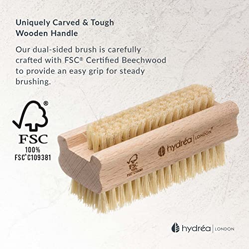 Hydrea London Nail Brush - Double-Sided Pedicure & Manicure Brush with Natural Cactus Bristles - 100% Vegan Hand Scrub, Fingernail Cleaner, & Tou