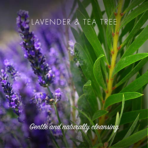 Friendly Soap- Natural Lavender & Tea Tree Conditioner, Softening, Moisturising & Nourishing, Handmade with Calming Essential Oils, No Sulfates &