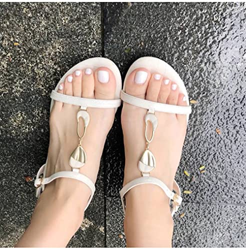 BSLVWG Pure Color False Toe Nails Short Glitter Metal Fake Toenail Full Cover Artificial Foot Nail Tips for Women and Girls(24Pcs) (01)