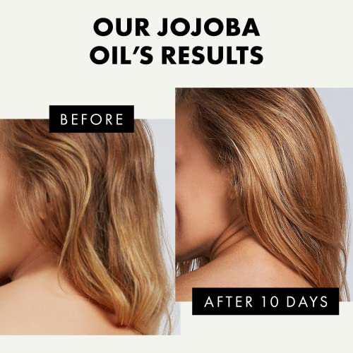 Organic Jojoba Oil for Hair & Skin - Pure, Unrefined Jojoba Oil for Face, Body, Beard & Nails - Hydrating, Regenerating Natural Moisturizer - Col