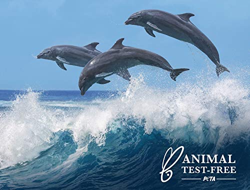 Hawaiian Tropic Tropical Lip Balm SPF 30 with Aloe Vera and Coconut Butter | SPF Lip Balm | Coconut Butter Lip Balm