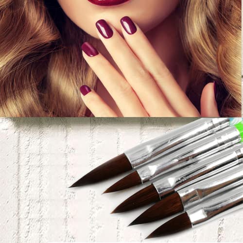 Acrylic Nail Brush Set,5 Pcs Round Sable Acrylic Design Nail Art UV Gel DIY Brush Pen Nail Art Tool Set No.4/6/8/10/12 (Silver)