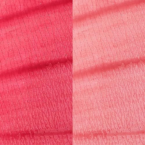 bayfree Lip Tint Stain Set, Long Lasting Lip Gloss, Non-sticky & Transfer-Proof Lip Stain Tinted Lip Balm, Waterproof Lipstciks, Lip Shine (fruit