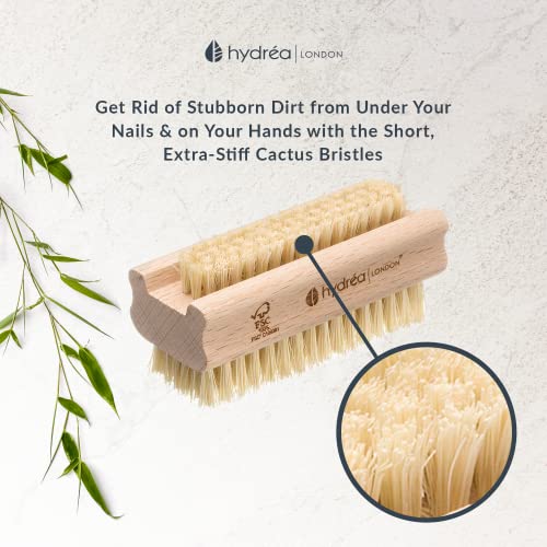 Hydrea London Nail Brush - Double-Sided Pedicure & Manicure Brush with Natural Cactus Bristles - 100% Vegan Hand Scrub, Fingernail Cleaner, & Tou