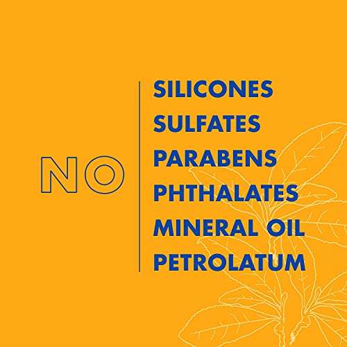 Shea Moisture/Grapeseed & Tea Tree Oils/Low Porosity Weightless Hydrating/Shampoo and Conditioner - 13oz - Deal