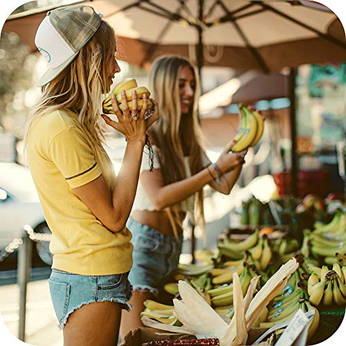 Sun Bum Sunscreen Lip Balm, SPF 30, .15oz Stick, Lip Sunscreen, Paraben Free hrJdkP, 1 Pack (Coconut)