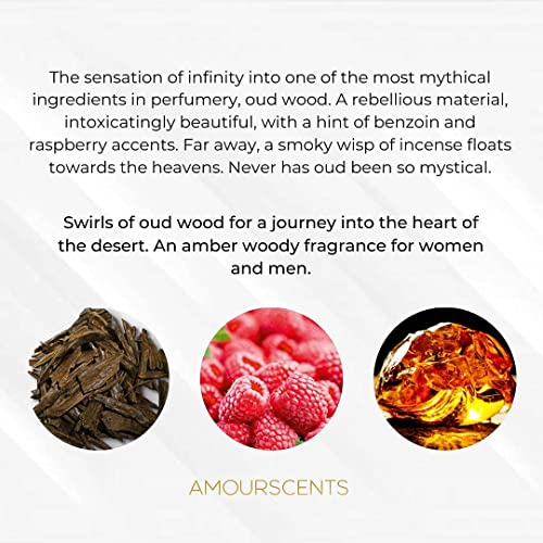 Ombre Nomade - Inspired Alternative Perfume, Extrait De Parfum, Fragrances For Men & Women - Ombre Shadow (100ml)