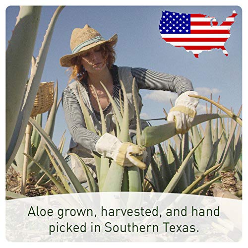 Organic Aloe Vera Spray for Body & Hair - From Freshly Cut Aloe Plant - Extra Strong - Easy to Apply - No Thickeners So It Absorbs Rapidly With N