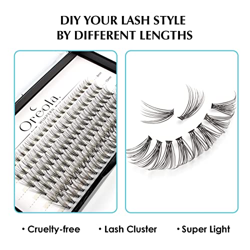 Oreola False Eyelashes Individual Natural Eyelash Individual Lashes Cluster for DIY at Home Ultra-Light Individual Cluster Lash Extensions 0.07C