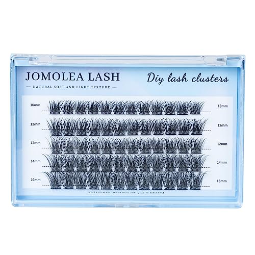 Lashes Cluster, 60 Pcs Mix Individual Lashes Cluster D Curl 10-16 mm Length, DIY Eyelash Extension Reusable Soft Natural False Lashes Fluffy Clus
