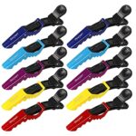Beayuer Hair Clips 10 Pcs Professional Salon Hair Clip Women Styling Sectioning Clips Durable Plastic Alligator Hairclip with Nonslip Grip and Wi