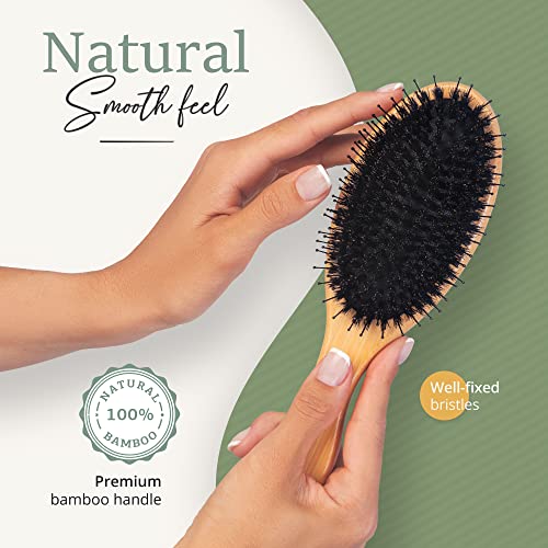Premium Boar Bristle Hair Brush for Thick Hair Set. Hairbrush for Women With Thick, Long or Curly Hair. Restores Hair's Shine and Health. Comb, T