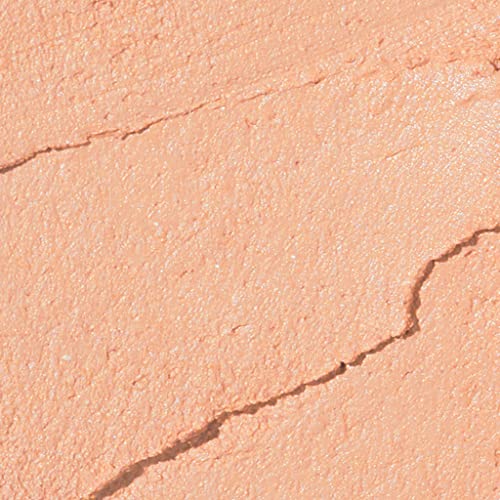 Julep Eyeshadow 101 Crème to Powder Waterproof Eyeshadow Stick, Smoky Amethyst Shimmer