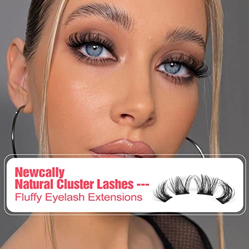 Cluster Lashes Natural Look Wispy Cat Eye Lashes Extensions Fluffy False Eyelashes Individual Lashes Strips DIY Lashes Pack Natural Lashes Cluste