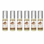 Prime Sports Shop Arabian Oil Fragrance Perfume Choco Musk Sweat Chocolate Aroma Smell Cent - 6 x 6ml by Al Rehab product fresh flat packed.
