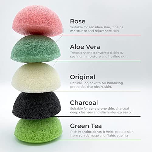 Eco Health Natural Konjac Sponges, for Deep Cleaning and Exfoliating, These Facial Sponges are 100% Natural Face Sponges - Pack of 5 Giant Konjac