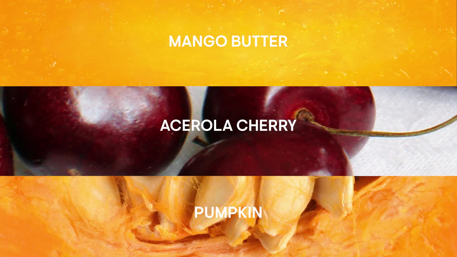 ELEMIS Superfood AHA Facial Cleanser to Brighten & Nourish Skin, Gentle Double Cleansing, Anti-Wrinkle, Hydrating Formula Removes Makeup & Leaves