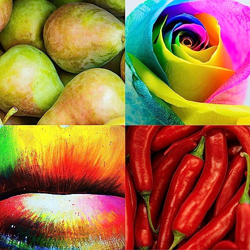 MILTON-LLOYD ESSENTIALS No 14 Perfume for Women. 50ml Eau de Parfum. Luxury Fragrance - Ladies Perfume, Long Lasting Womens Perfumes by Milton-Ll