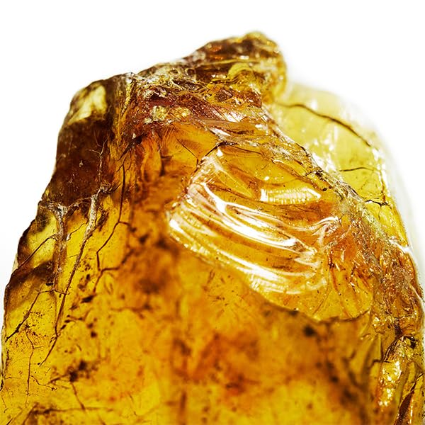 DAVIDOFF Cool Water Man Eau de Toilette 75ml Aftershave for Men