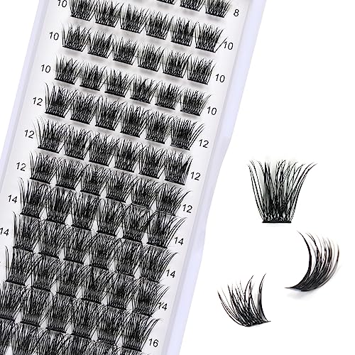 Individual Cluster Lashes, 72 PCS DIY Eyelash Extension,Natural Look Wispy Clusters Lashes 8-16MM D Curl Individual Lashes Extensions Reusable In