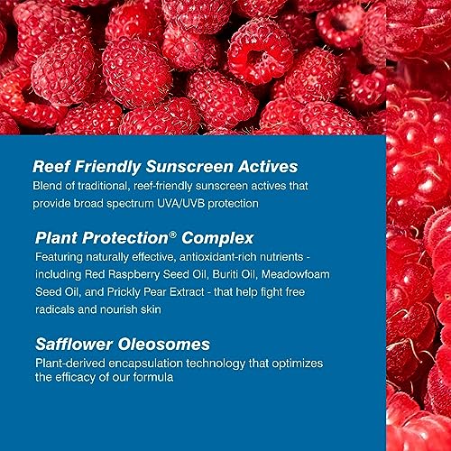 Coola SPF 30 Mineral Face Sun Cream, 70 Percent + Organic Daily SPF Face Moisturiser, Broad Spectrum UVA/UVB Protection Sunscreen, Matte Finish w